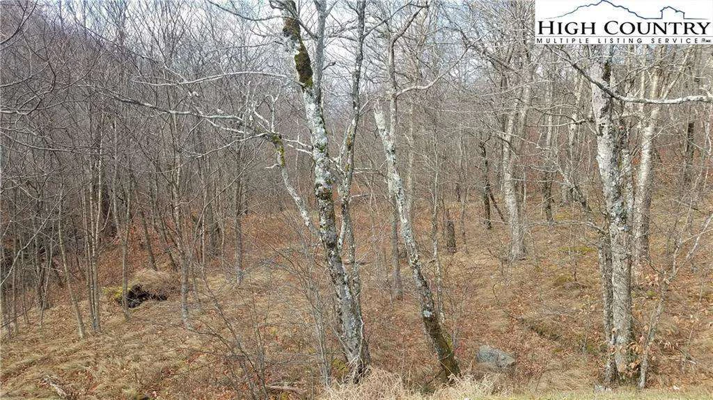 Image number 6 for the current listing
