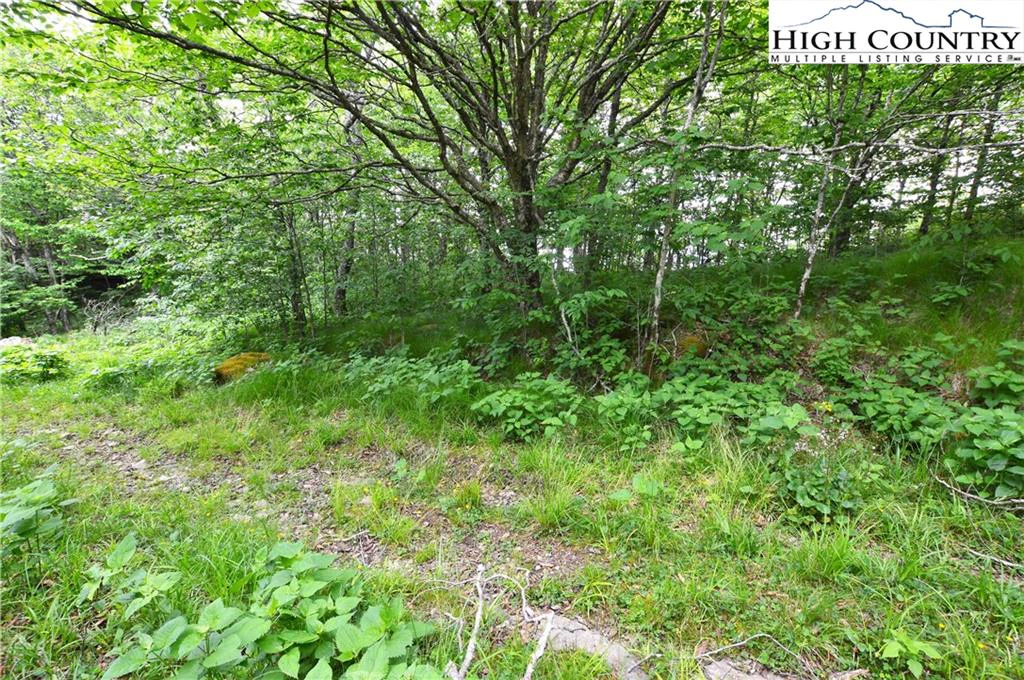 Image number 1 for the current listing