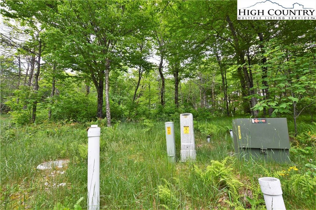 Image number 8 for the current listing