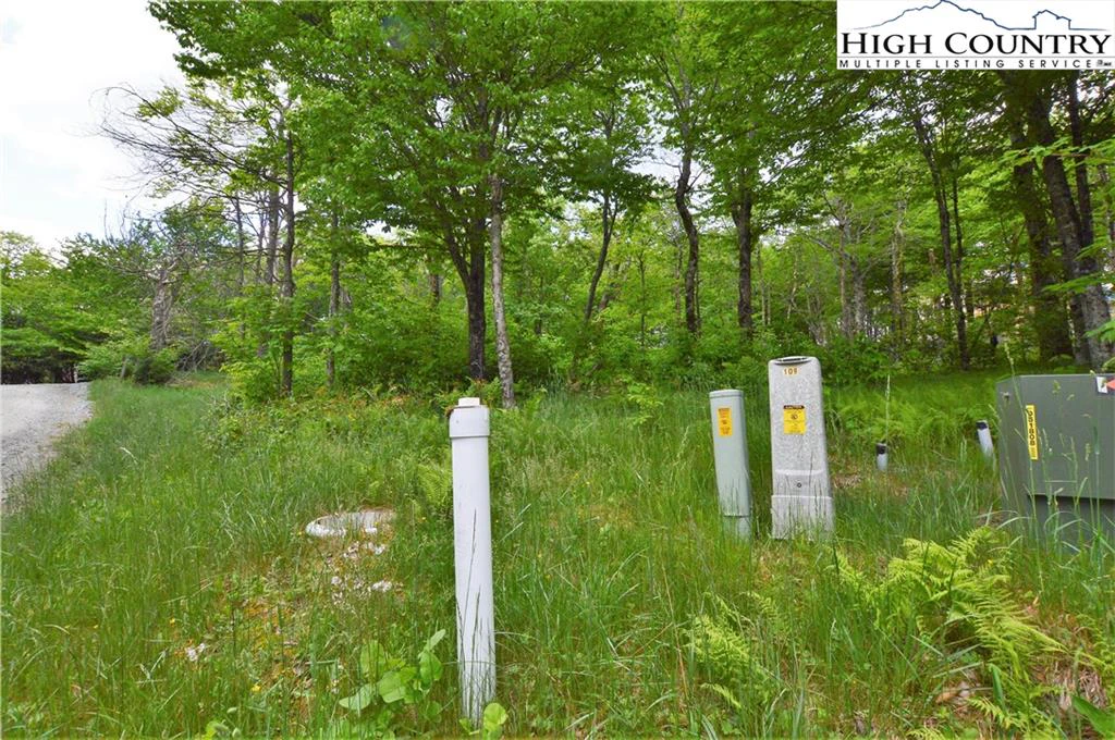 Image number 7 for the current listing