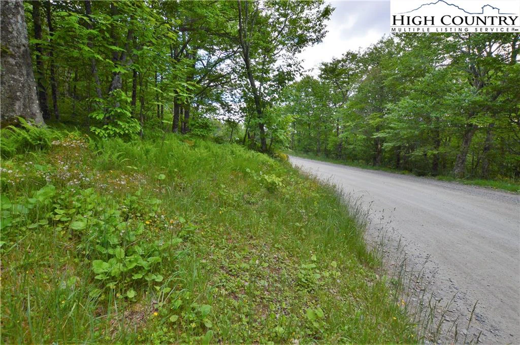 Image number 6 for the current listing