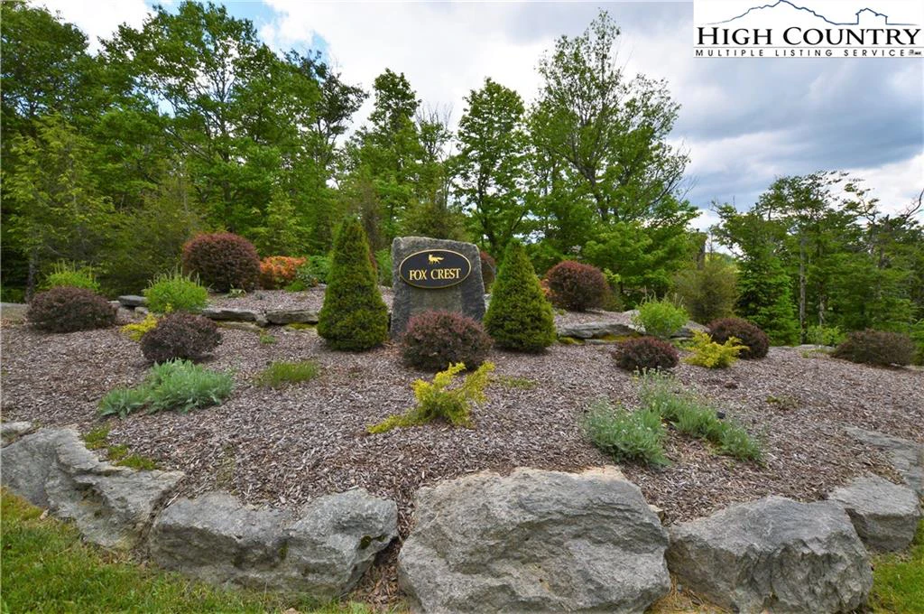 Image number 3 for the current listing