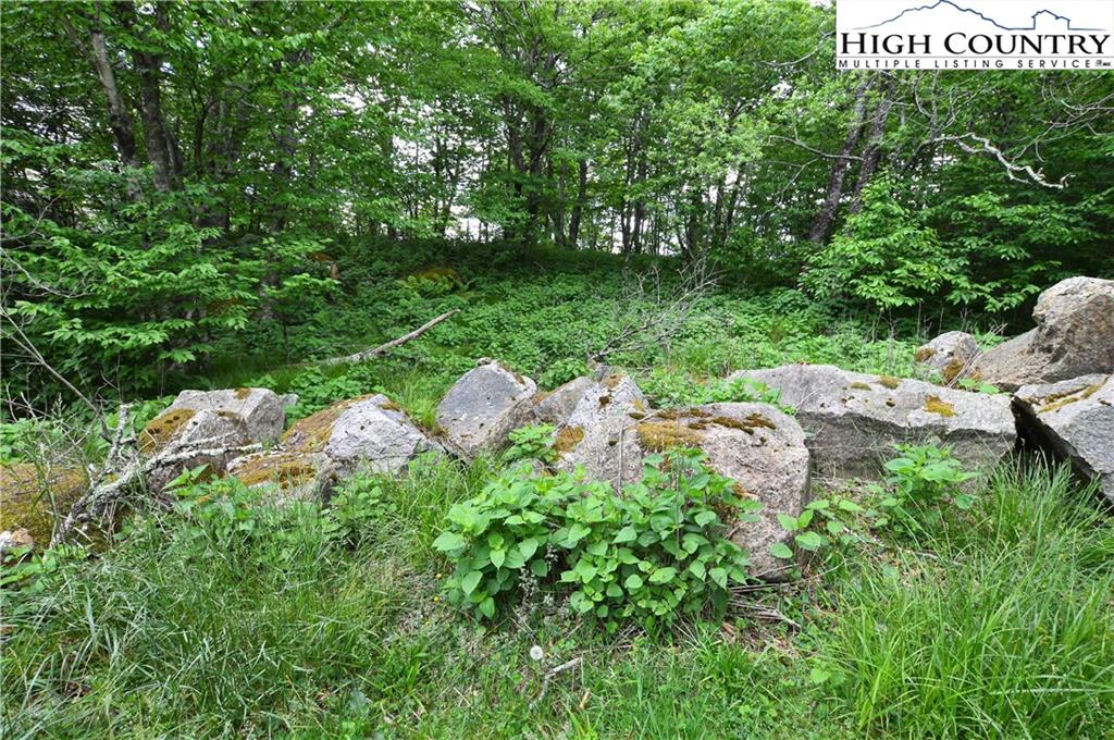 Image number 16 for the current listing
