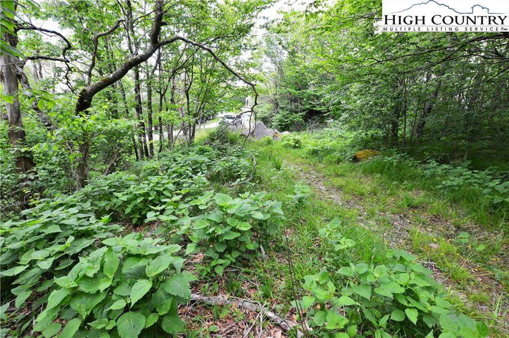 Image number 15 for the current listing