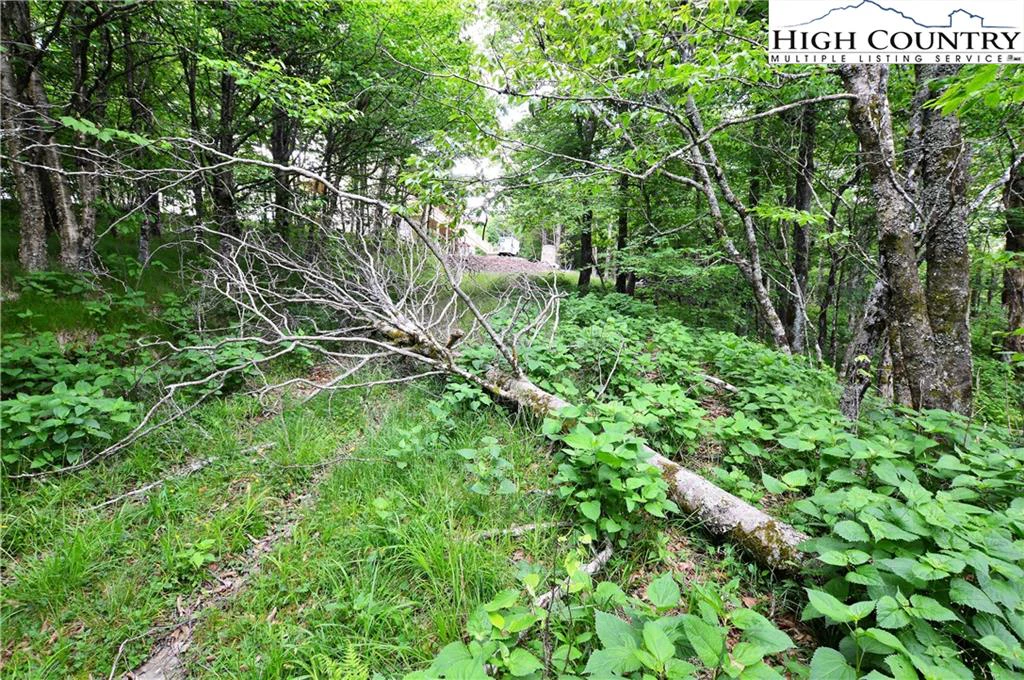 Image number 14 for the current listing