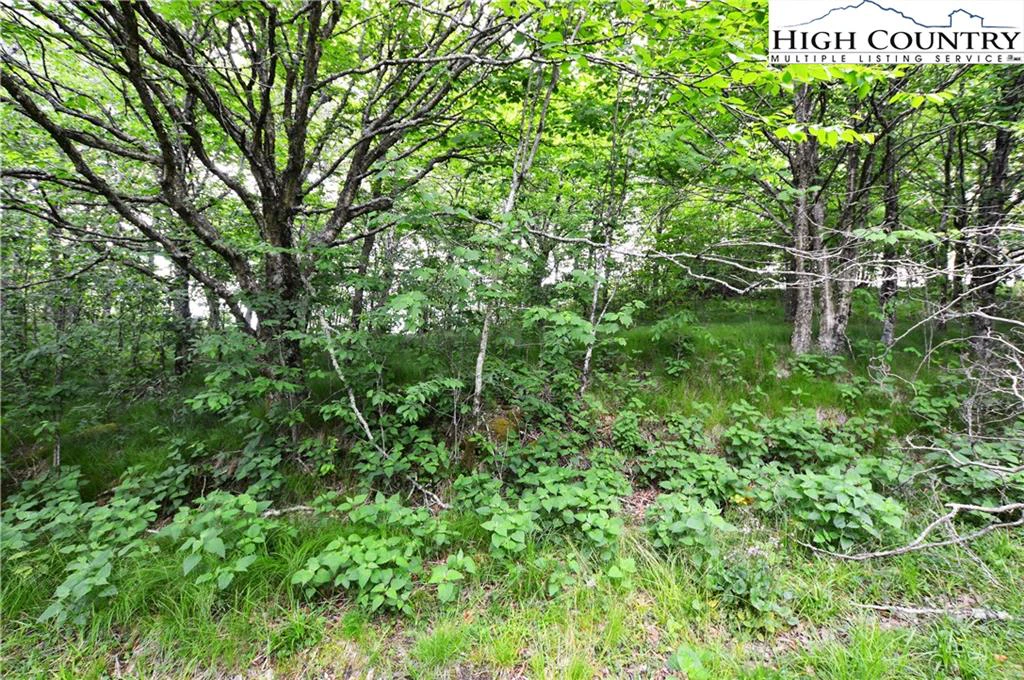 Image number 13 for the current listing
