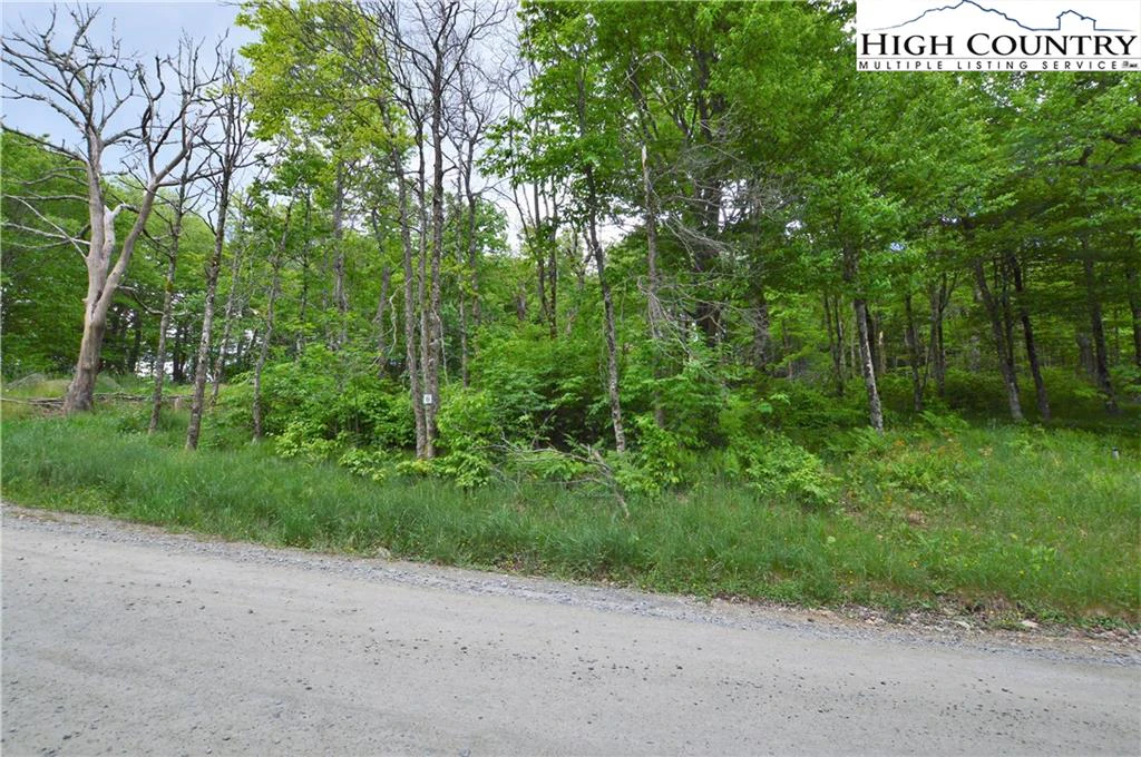 Image number 2 for the current listing