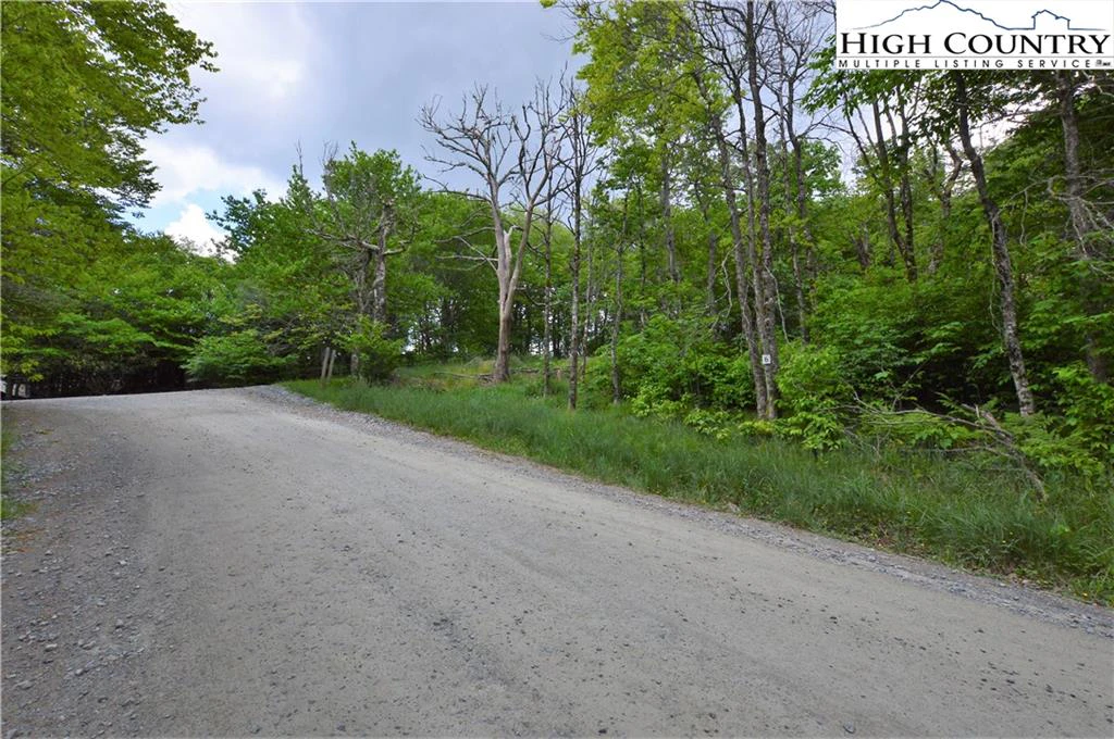 Image number 10 for the current listing